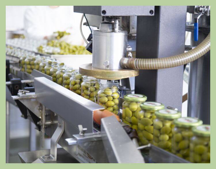 dolcinazzareno it aziende-produzione-alimentare-bio-online 002